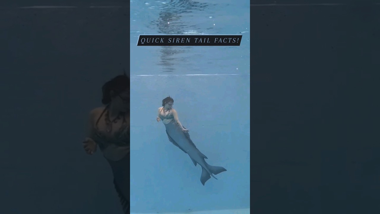 FAQs about the Siren Tail! #siren