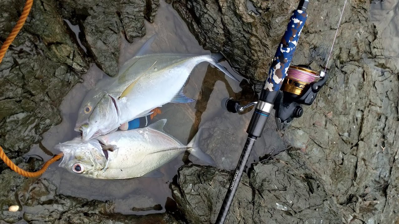 GT hunting w/ KALMADO TEAM @GIGMOTO CATANDUANES🎣