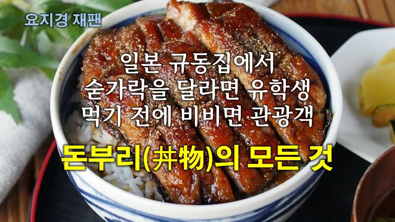 [요지경재팬] 일본의 대표 덮밥, 돈부리(どんぶり / 丼)의 모든 것