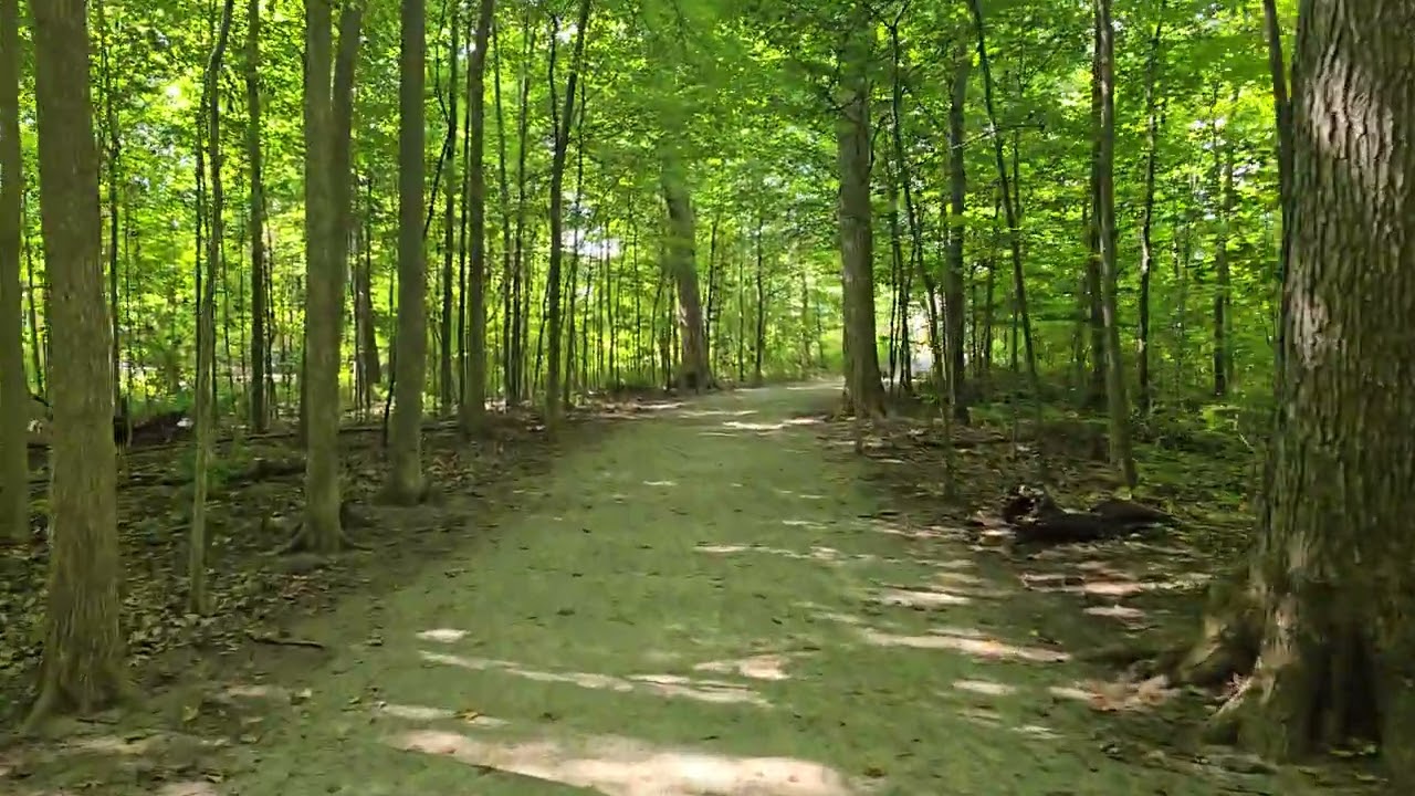 creek path woods | walking tour | 