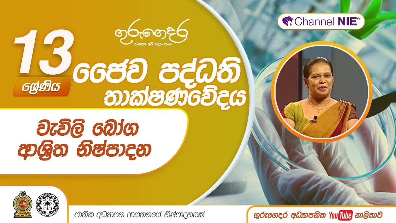 වැවිලි බෝග ආශ්‍රිත නිෂ්පාදන - N 12 -A/L Bio Systems Technology (ජෛව පද්ධති තාක්ෂණවේදය) 13 ශ්‍රේණිය