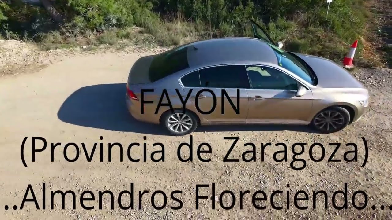 FAYÓN (Provincia de Zaragoza).  Almendros Floreciendo
