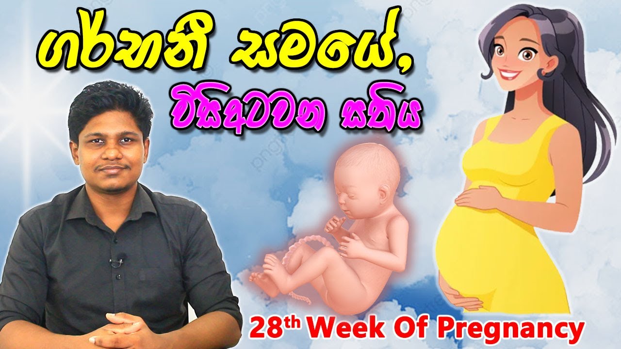 Pregnancy 28th Week | Sinhala Medical Review | අම්මයි බබයි
