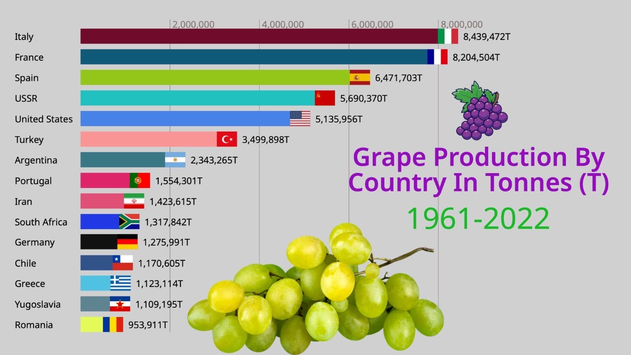 Grape Production By Country | Countries That Produce The Most Grapes 1961-2022