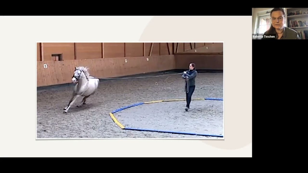 Probleme im Galopp – das losstürmende Pferd an der Longe von Babette Teschen