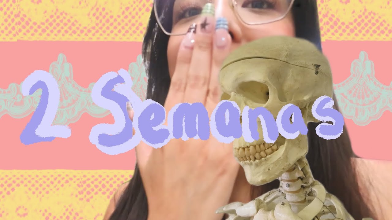 Vlog/ dos semanas de mi vida (más o menos)
