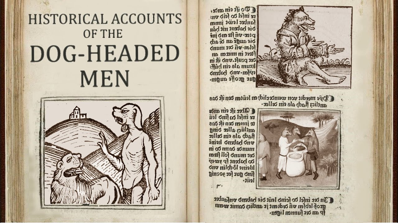 Three Historical Accounts of the Dog-Headed Men // Marco Polo, Ibn Battuta and Sir John Mandeville