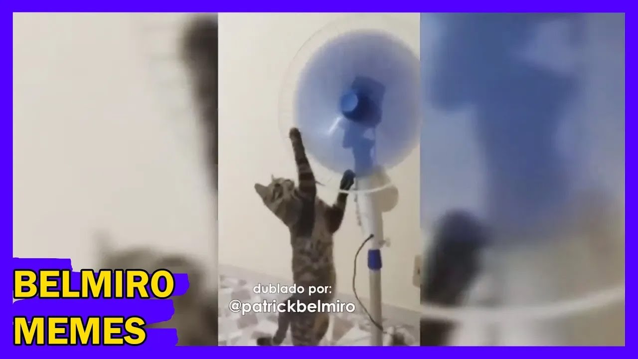 Belmiro Memes: Melhores dublagens engraçadas da semana 67
