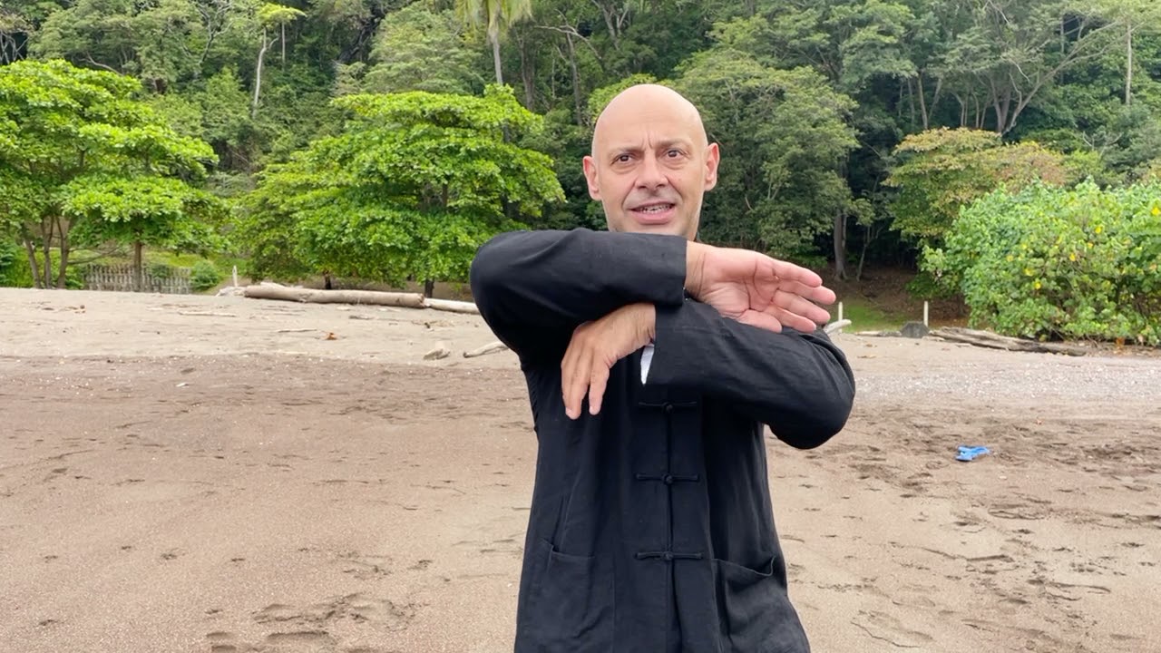 ¿Aprender Wing Chun? Primeros pasos en Wing Chun Básico/Fundamentals by  TAOWS