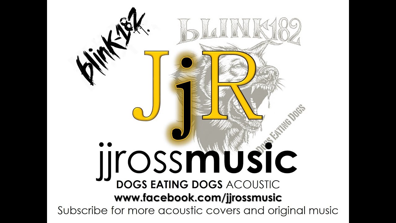 Pretty Little Girl (Blink 182 Acoustic Cover) - JjR