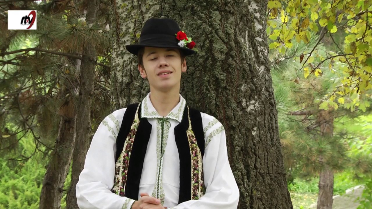 Stefan  Negru  -  Dorule  fii  blestematu