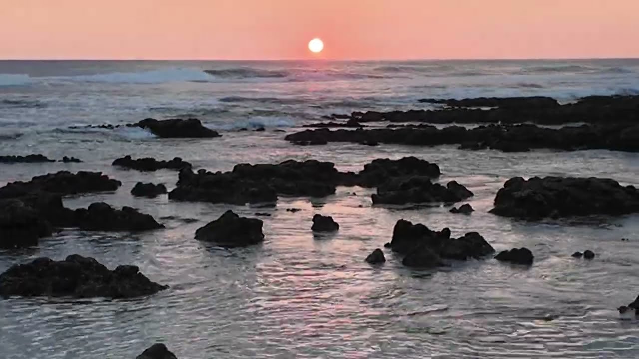 2026.03.12 御前崎海岸437（夕方/岩礁から）