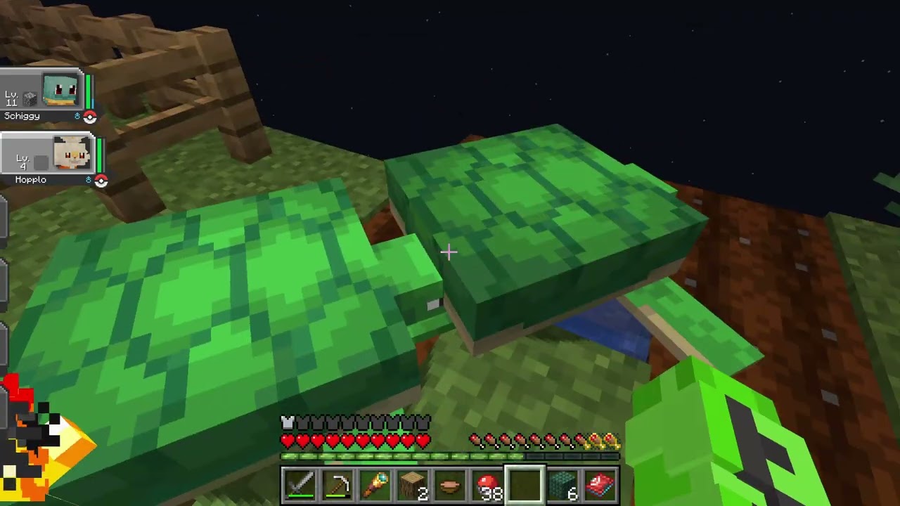 Pokemon Oneblock Folge 3