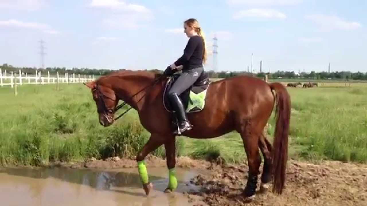 Kurzvideo: Ab durchs Wasser !