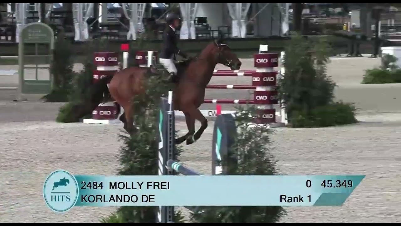 Korlando 1.35 amateur 
