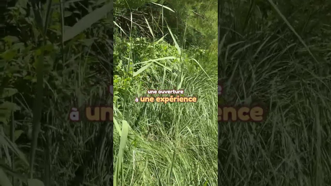 D&rsquo;o&ugrave; viens-tu&nbsp;? Ouverture de conscience