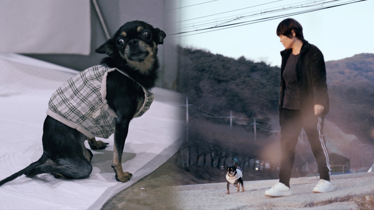 Что происходит, когда вы волочите задние ноги, а затем идете (Лили - Часть 4)