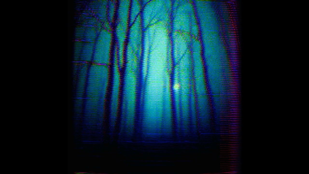 PUPPY VOMIT - FOREST SECRETS | FULL EP (Harsh Noise / Death Industrial / Experimental)