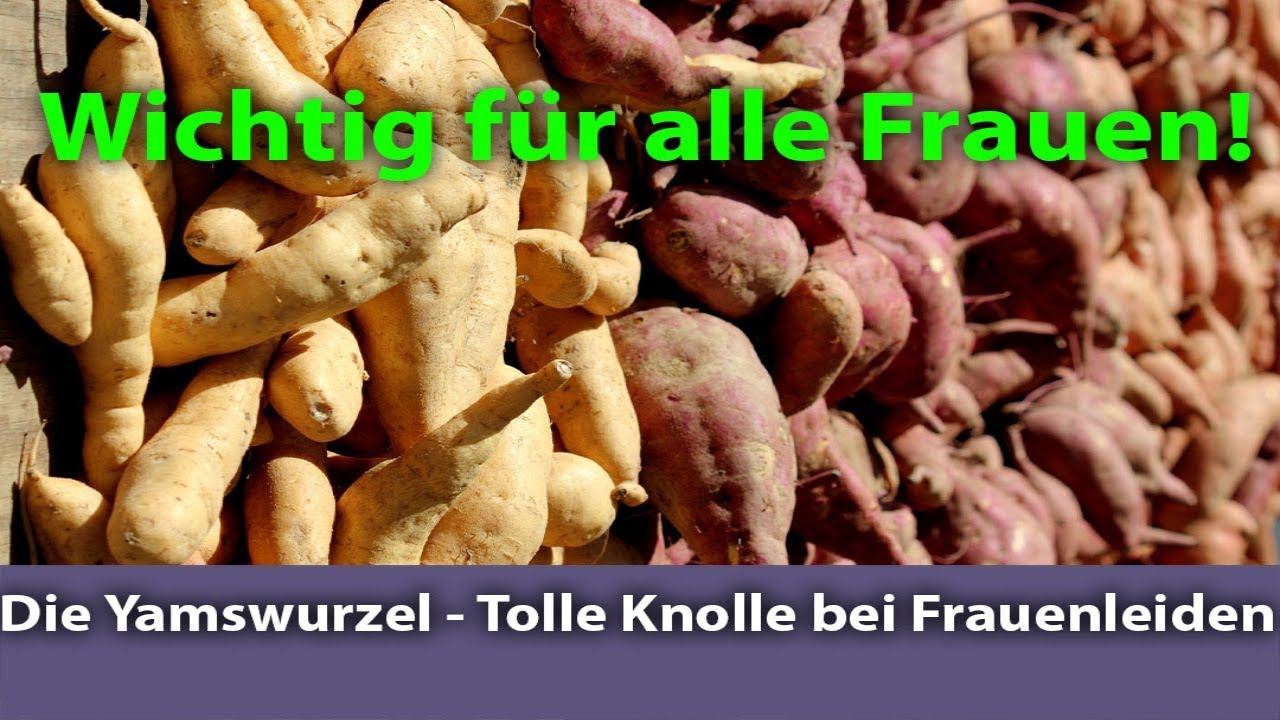 DIe Yamswurzel - Tolle Knolle bei Frauenleiden