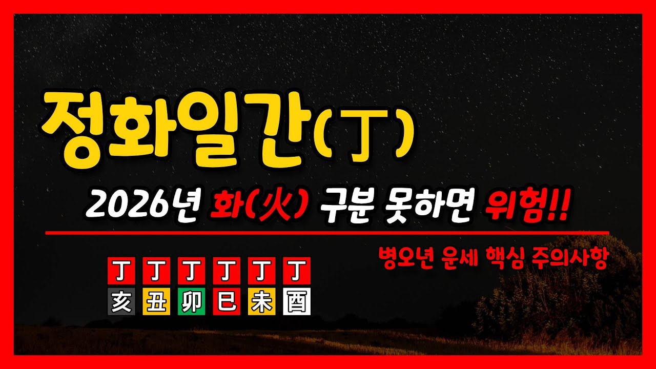 병오년) 정화일간 운세 심층분석