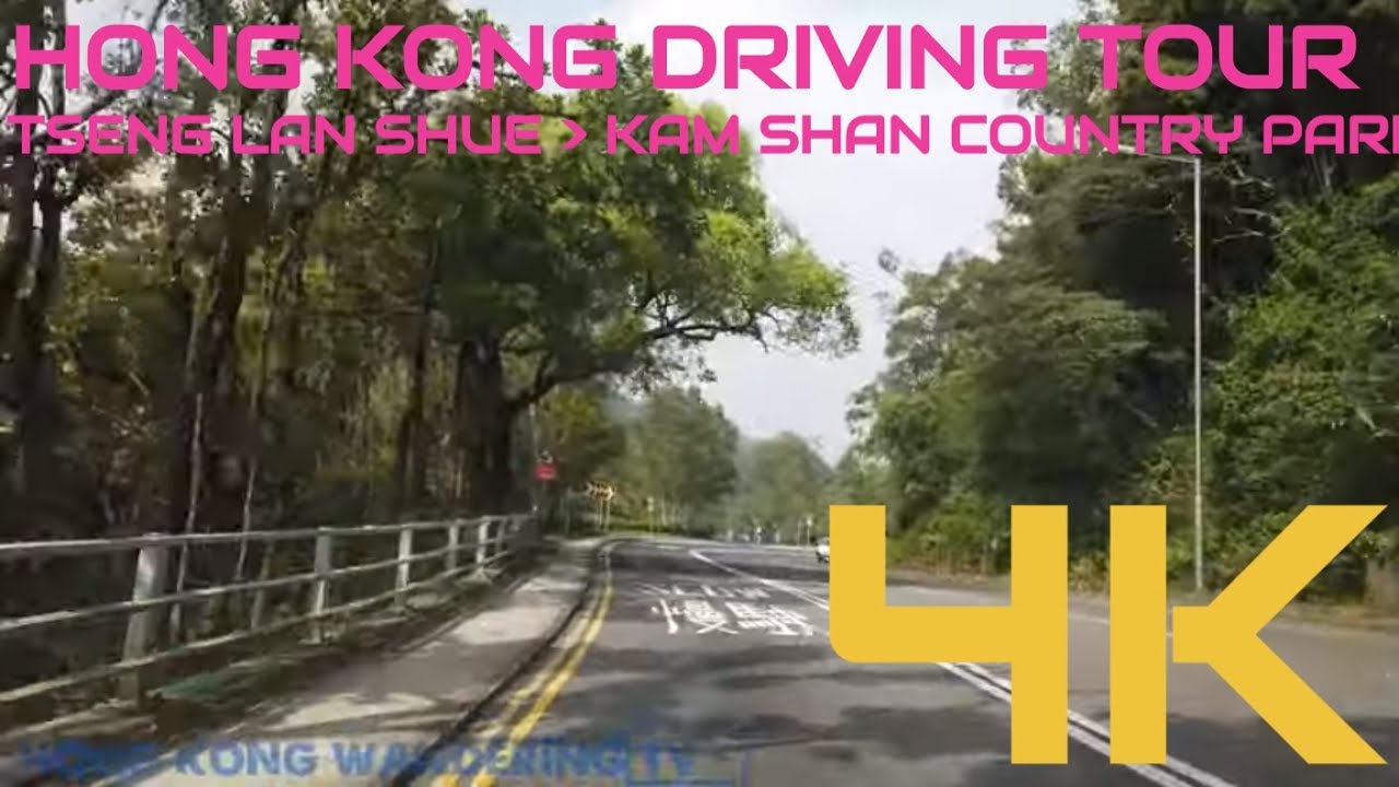 ULTRA HD 4K HONG KONG COUNTRYSIDE DRIVING TOUR - TSENG LAN SHUE | KAM SHAN MONKEYS PARK