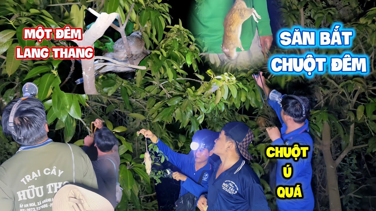 Một đêm lang thang săn bắt cùng team và lai rai món chuột ốp sả chiên thơm nứt mũi | HoàiPhong TV