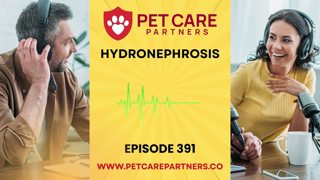 EP 391: Hydronephrosis in Dogs & Cats – Pathophysiology, Diagnosis & Clinical Approach