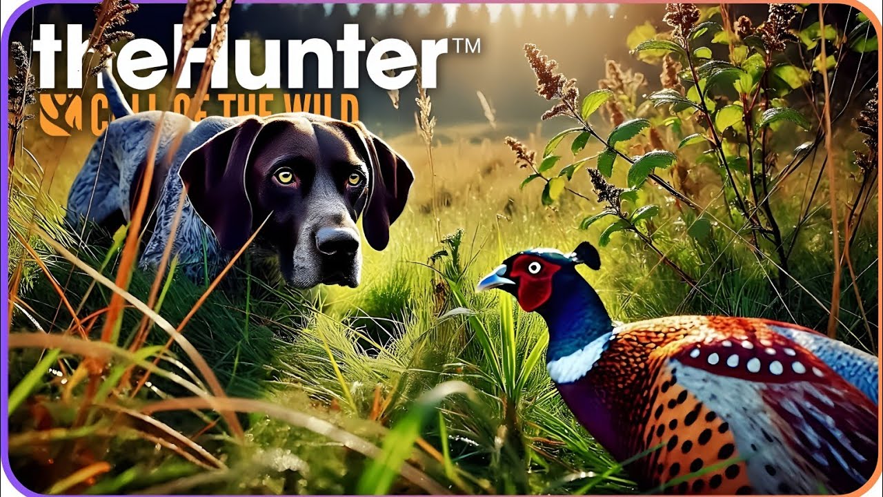 The Ultimate Hunting Companion: German Shorthaired Pointer in Salzwiesen Park