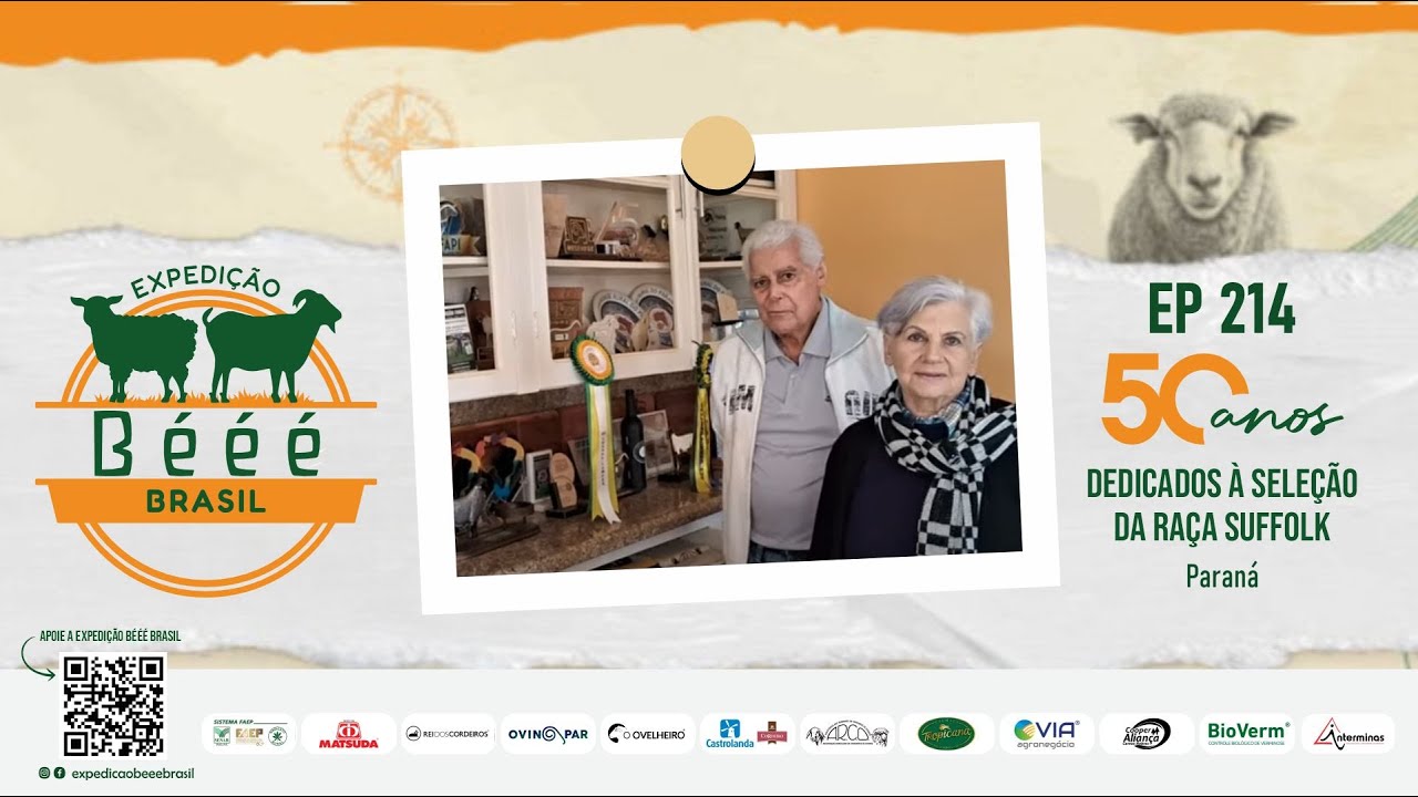 50 ANOS DEDICADOS À SELEÇÃO DA RAÇA SUFFOLK - EP 214