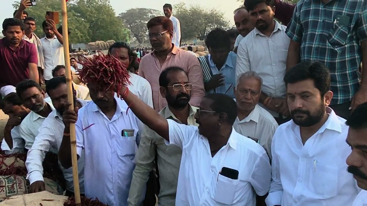 ఈరోజు ఖమ్మం మిర్చి మార్కెట్లో తేజ రకం జెండా పాట🚩🚩🚩🔔🔔🔔🌶️🌶️🌶️ సబ్స్క్రయిబ్ 👍🙏🙏🙏