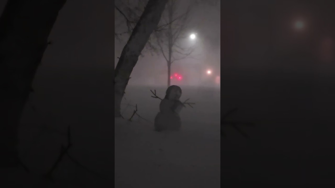 Blizzard
