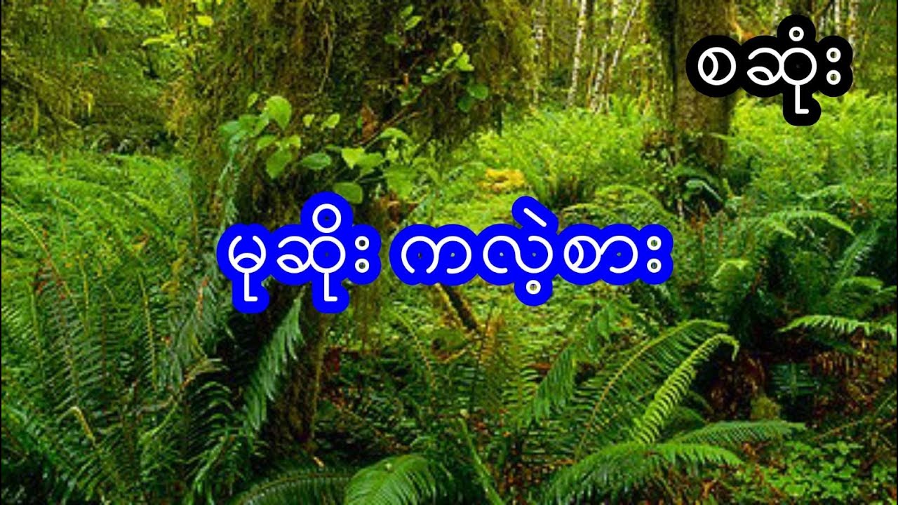 မုဆိုး ကလဲ့စား - စဆုံး