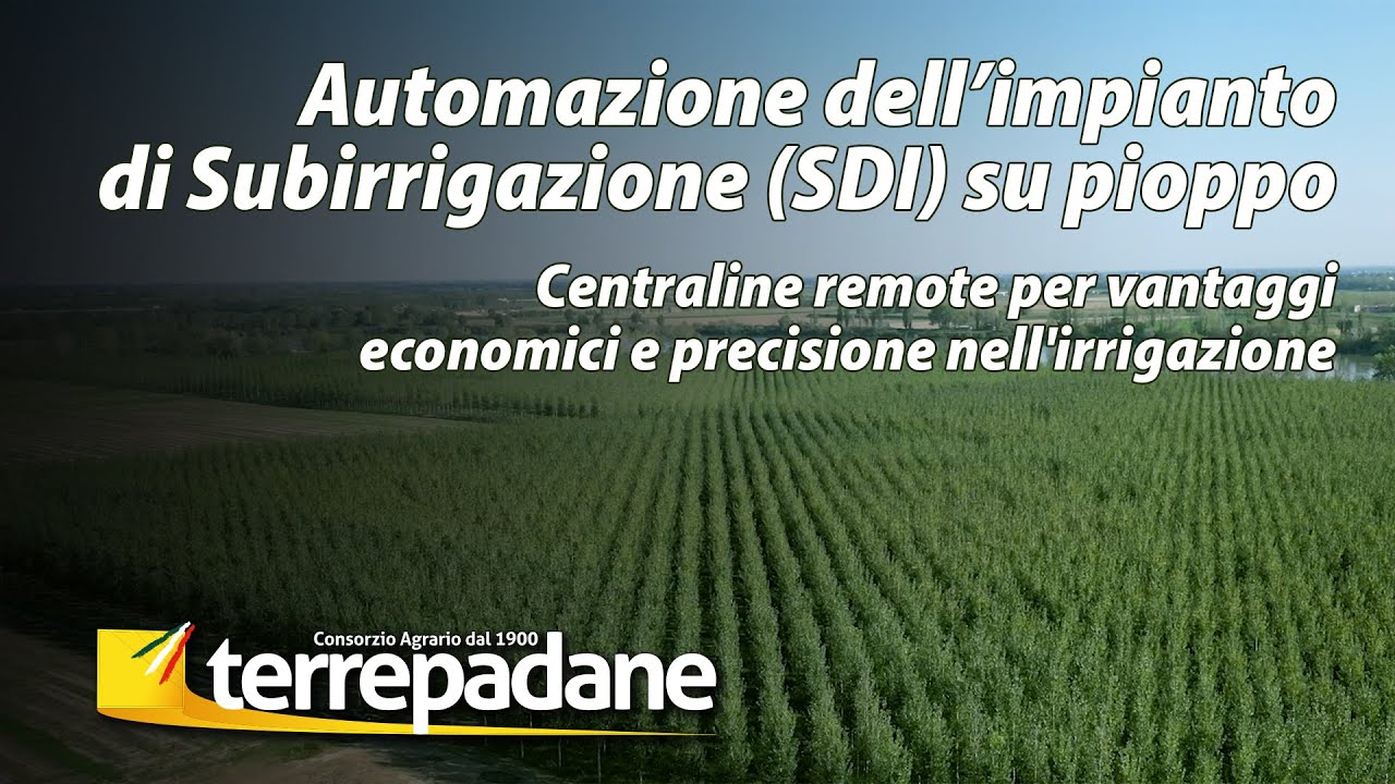 Automazione dell’impianto di Subirrigazione (SDI) su pioppo
