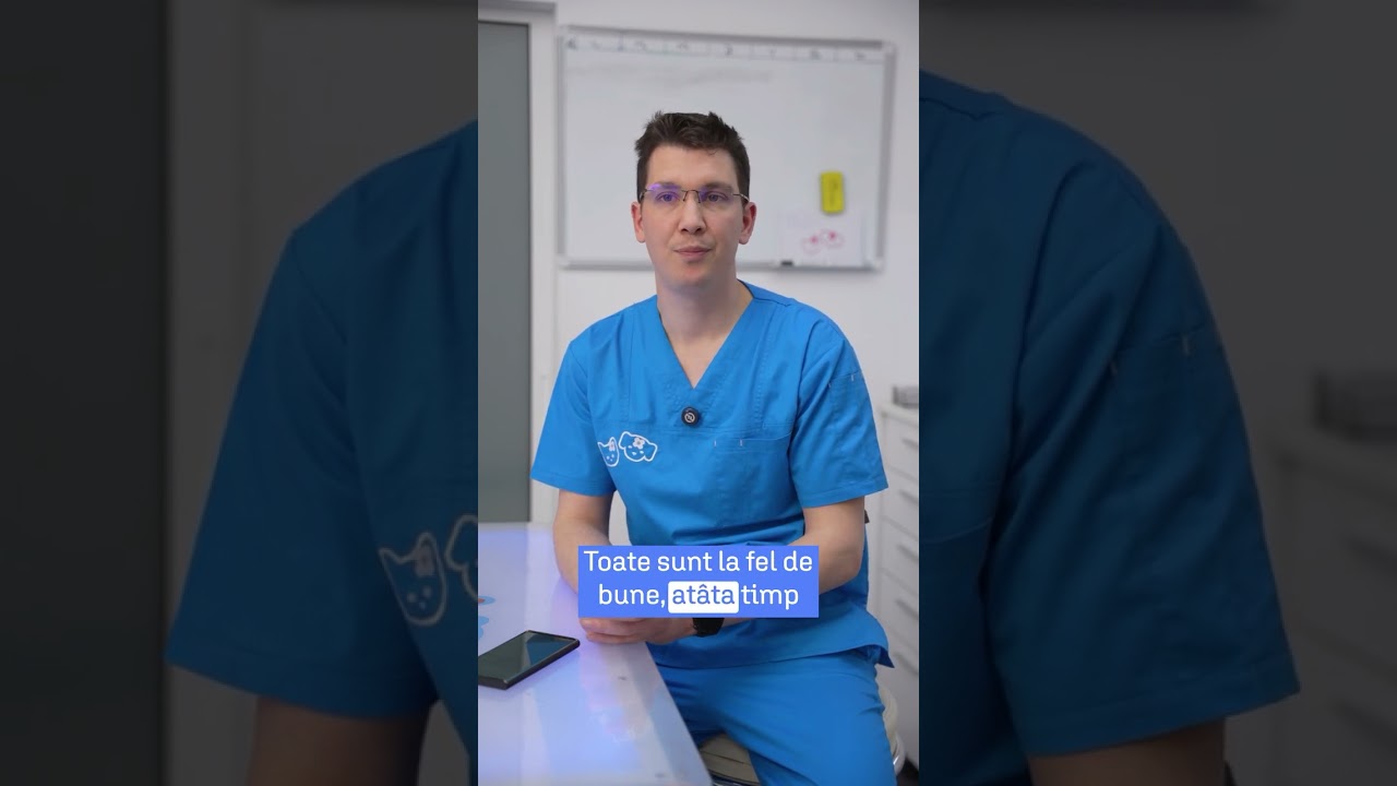 Care este cel mai bun nisip pentru pisici?