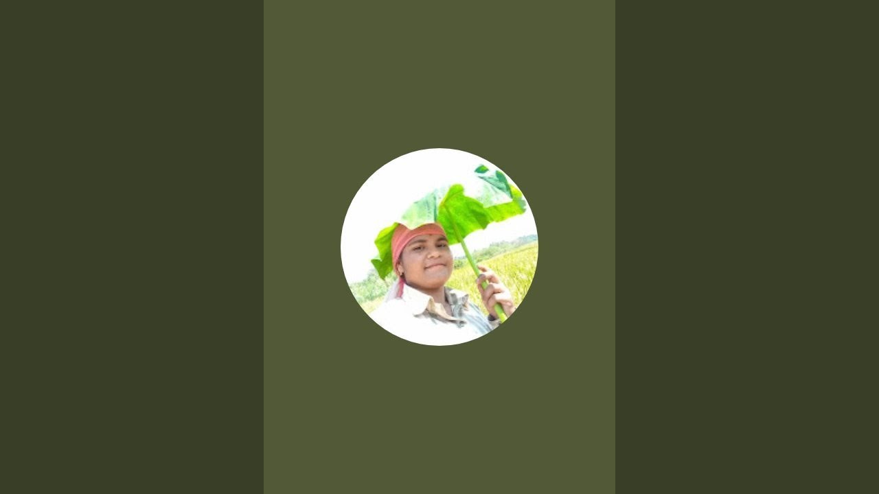 Sweetie Ar is live