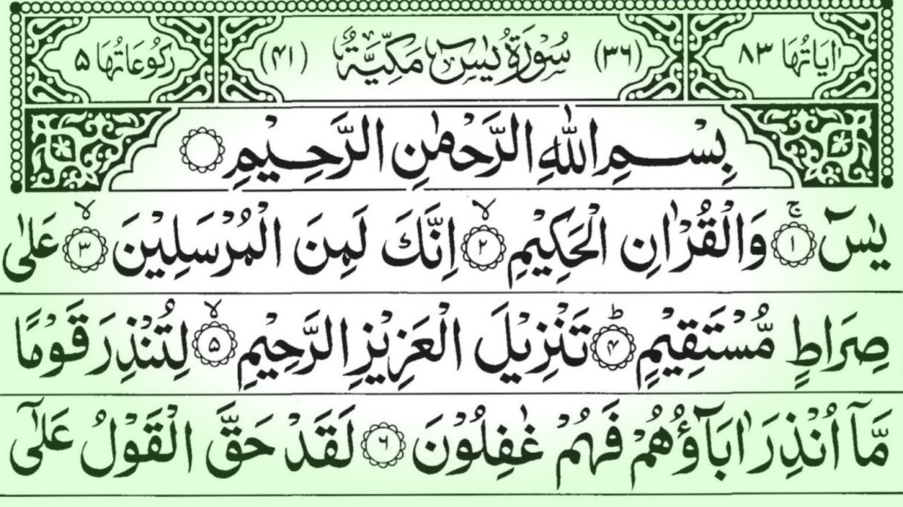 Surah Yaseen ( Yasin ) With Arabic Text📖 Surah Rahman 💫 4 Quls Surah Mulk  🕌  Ayatul Kursi | Vol.783