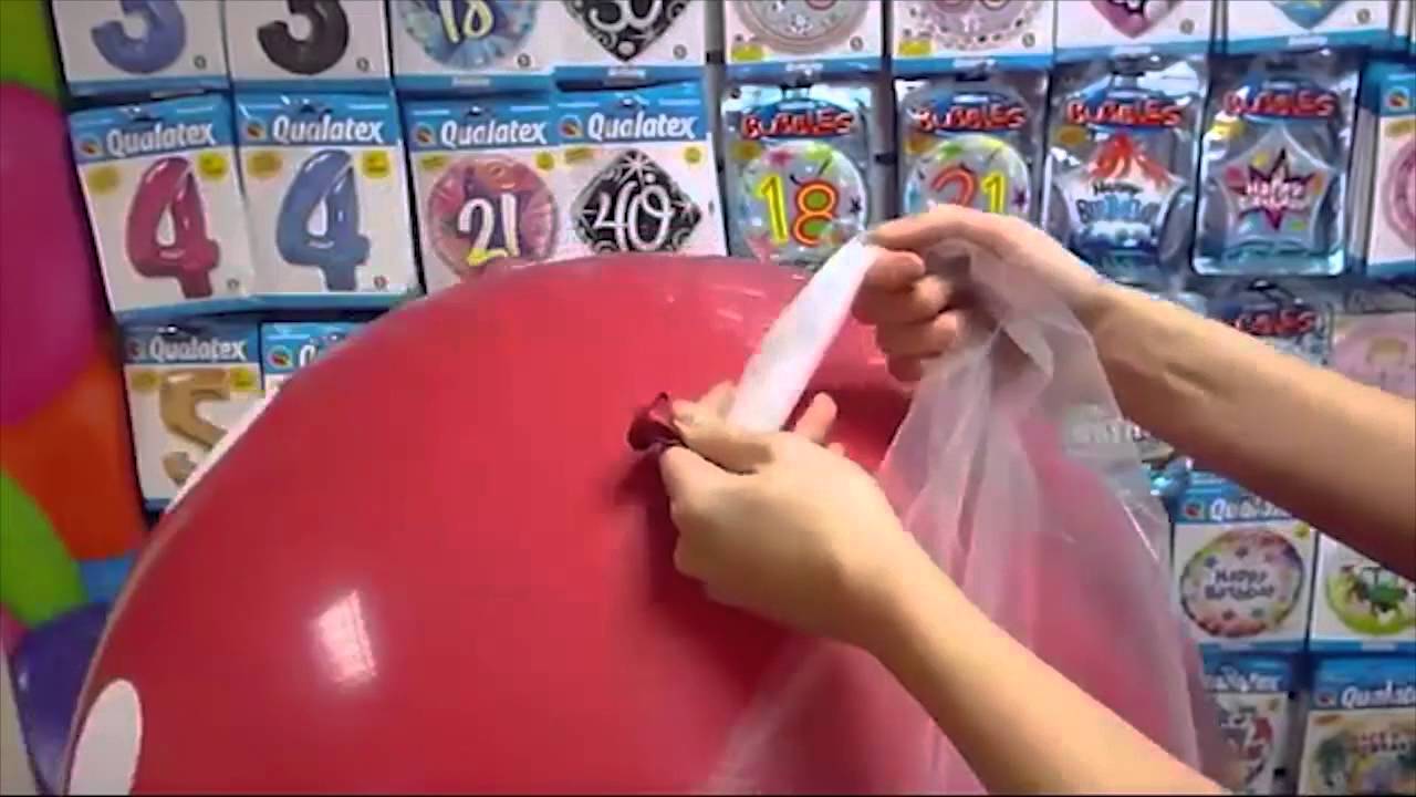 Tying Qualatex 3ft Latex Balloons