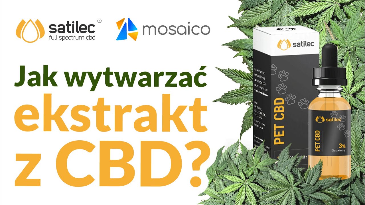 Jak wytwarzać ekstrakt z CBD? Zgarnij 1m2 ziemi uprawnej!
