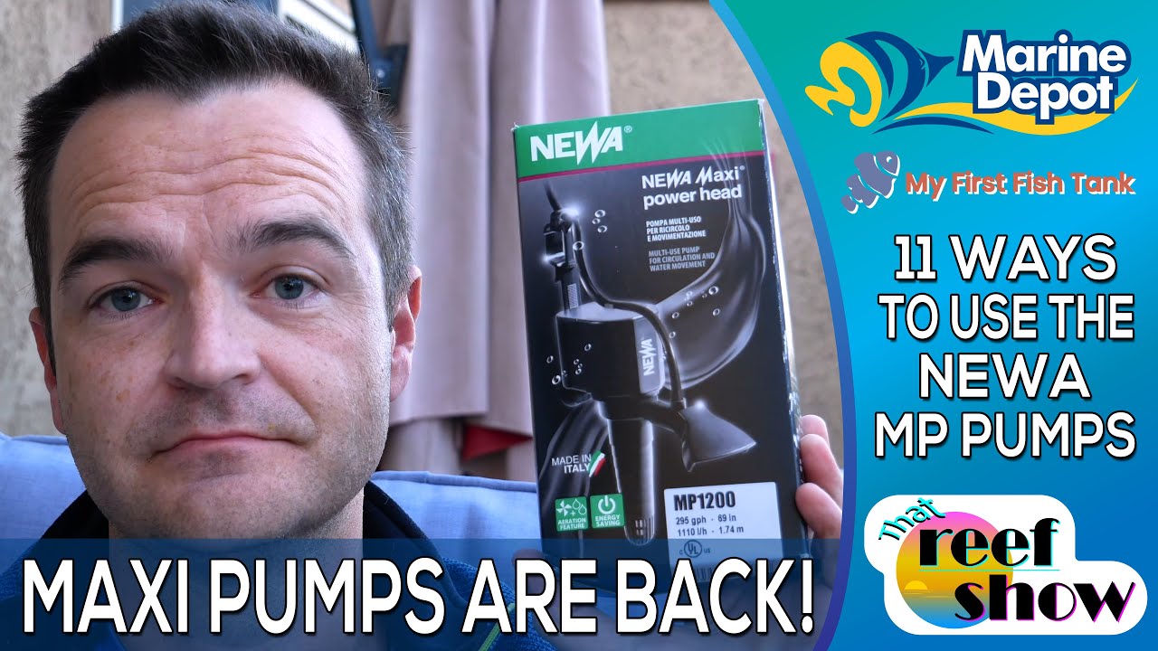 THEY'RE BACK!  11 Ways to use the NEWA MP Pumps!