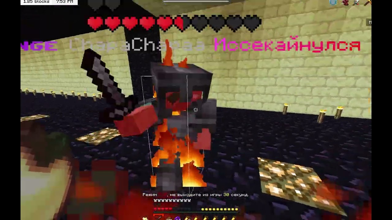 拷問の時間  pvp/epvp cubeworld/holyfake