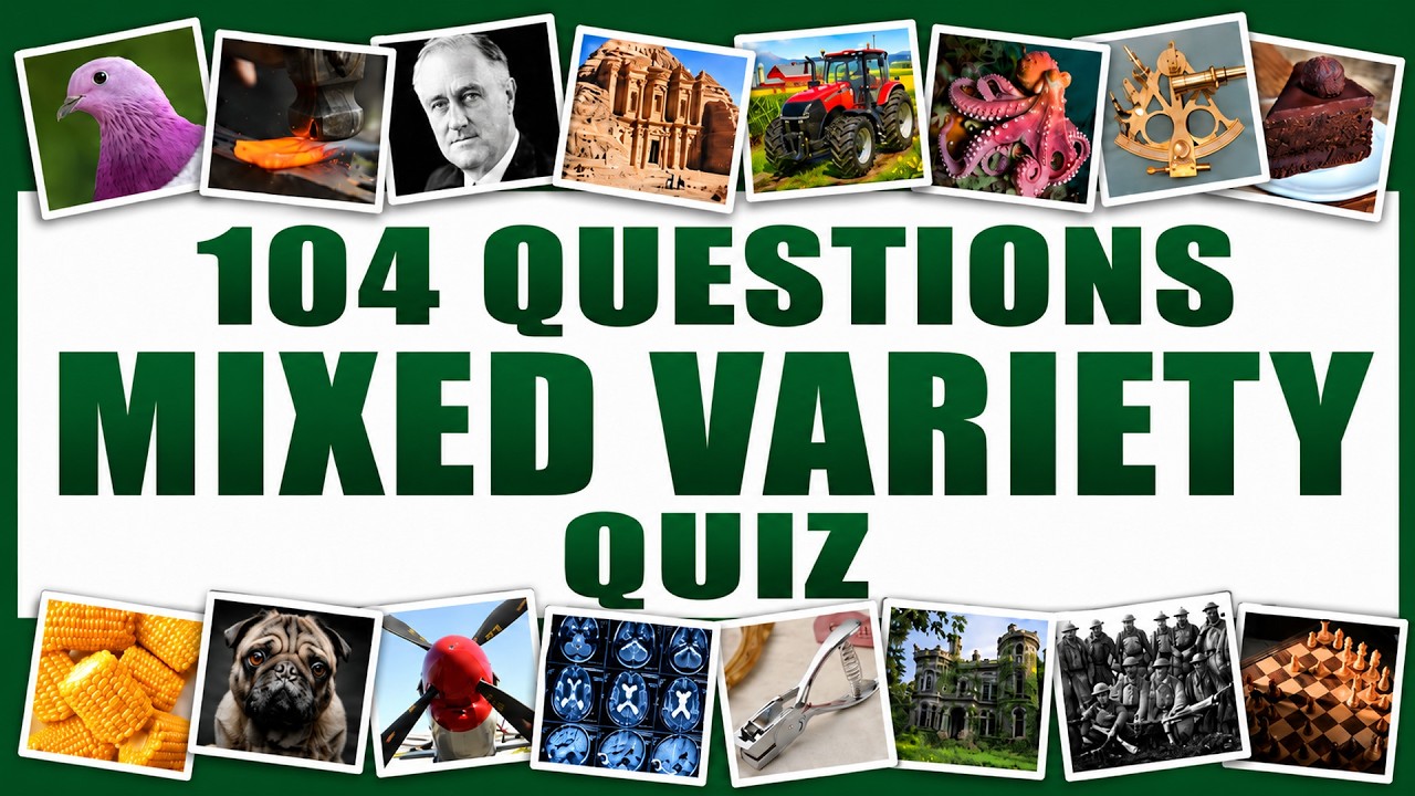 Take It Easy With This Fun 104 Question Quiz