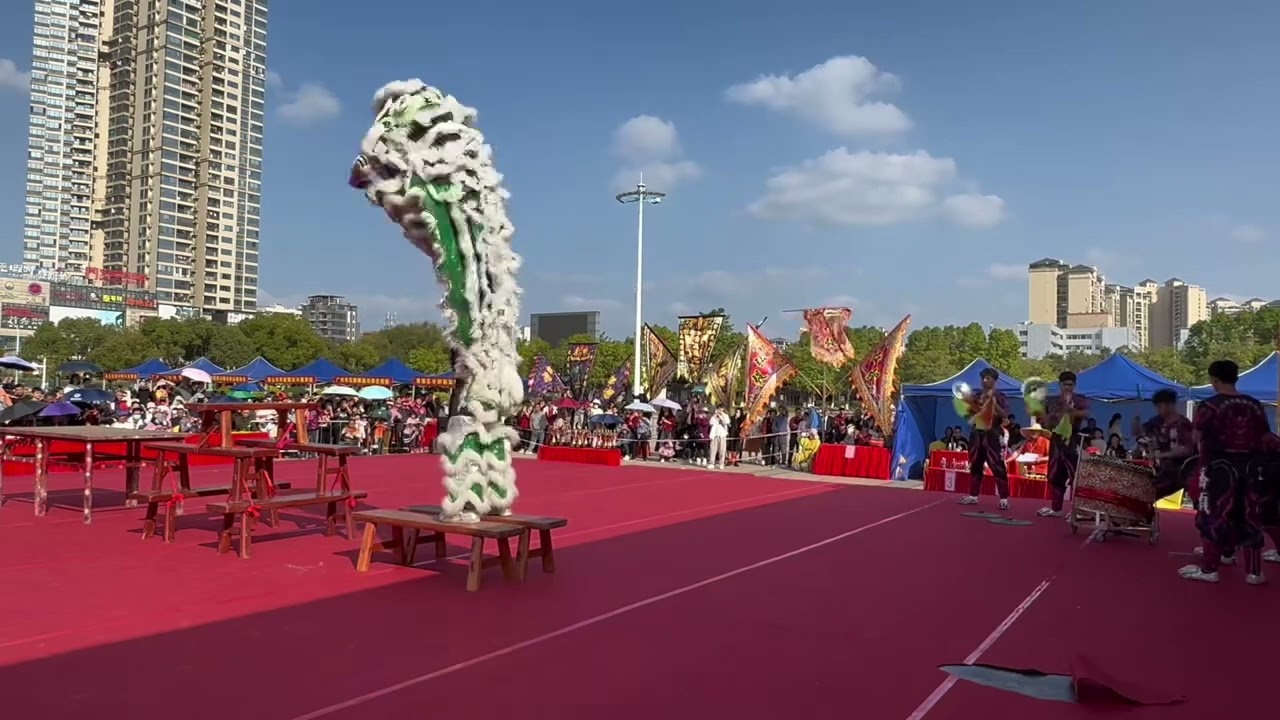 &ldquo;喜狮连连&rdquo;2024岭南传统醒狮邀请赛&mdash;&mdash;广州市弘毅国术会《年年有余》 #广东醒狮 #国家级非物质文化遗产