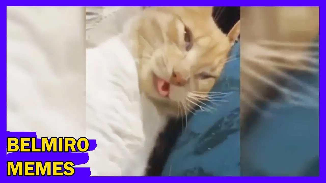 Belmiro Memes: Melhores dublagens engraçadas da semana 68