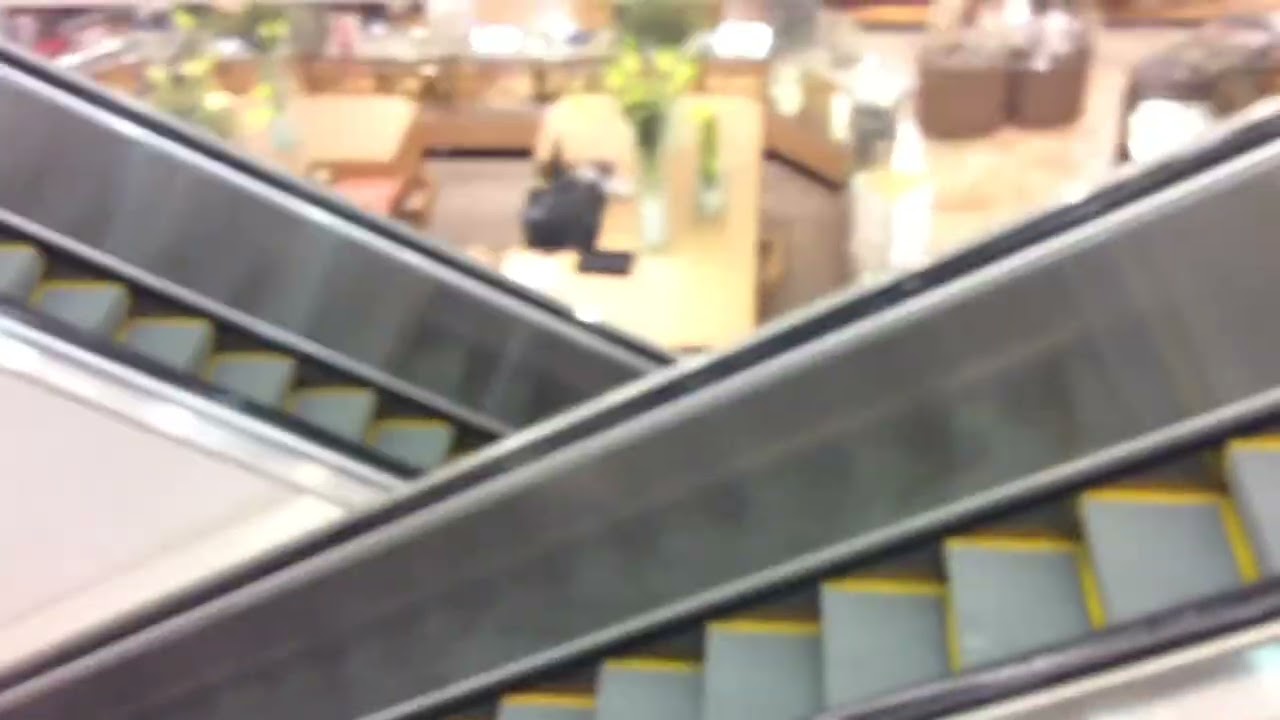 Montgomery escalators @ Dillard’s Broward Mall Plantation, FL