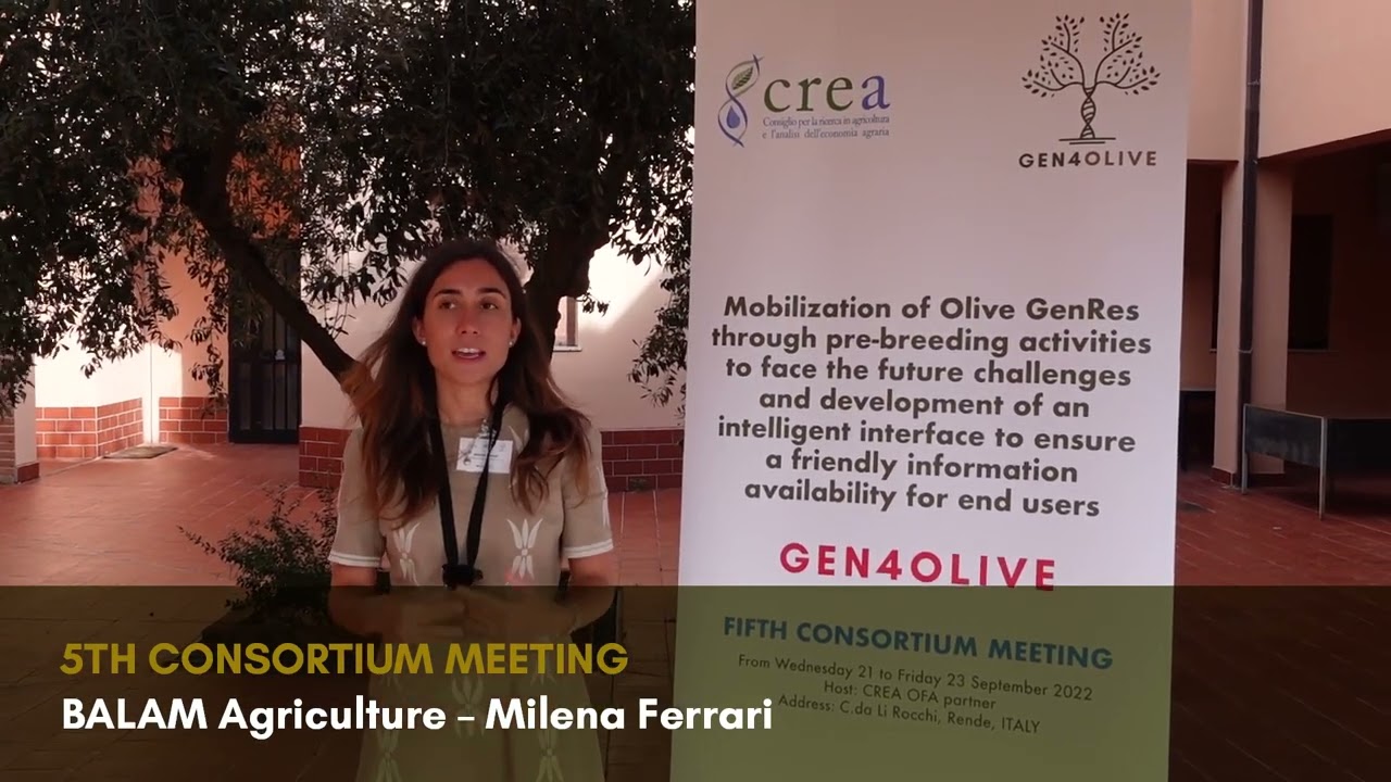 Gen4olive Member Interviews: Milena Ferrari - BALAM