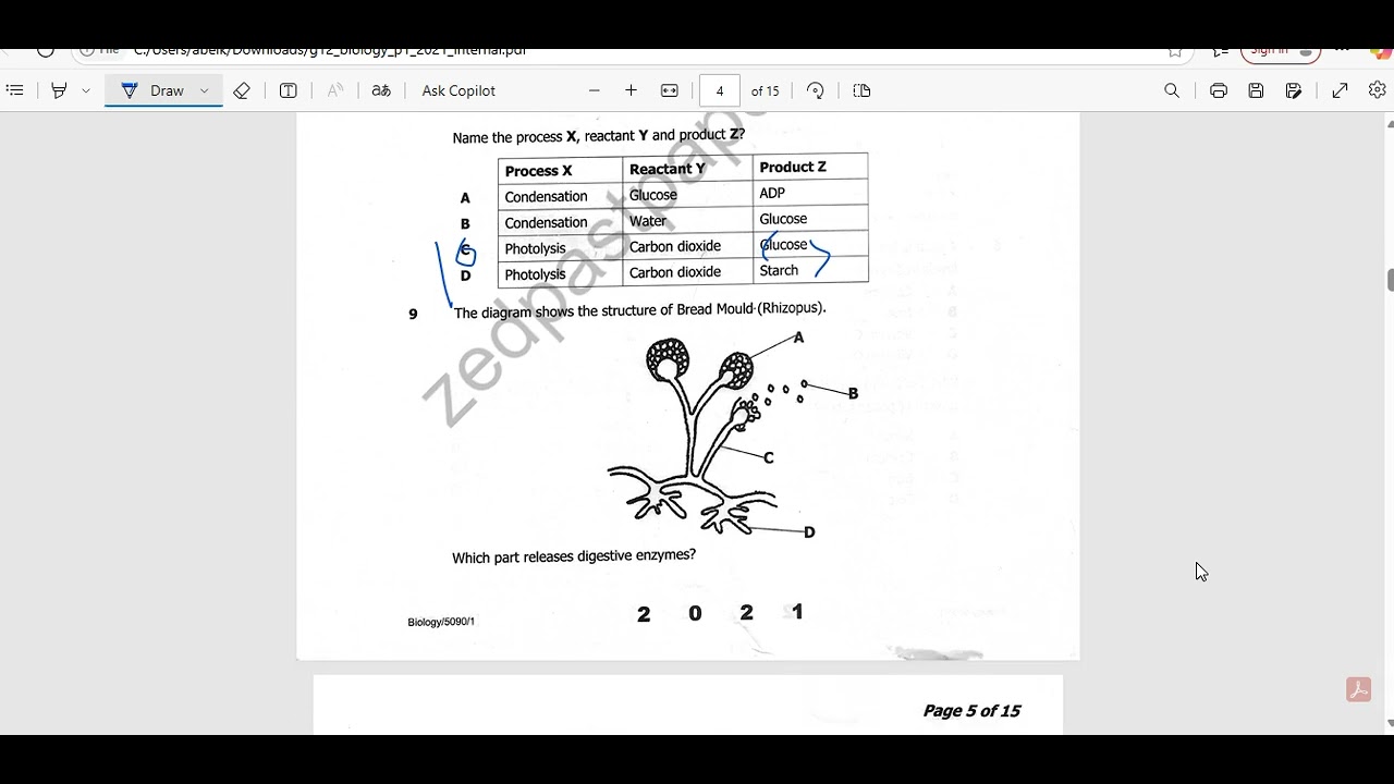 Biology paper 1 ||2023 internal || fully solved |