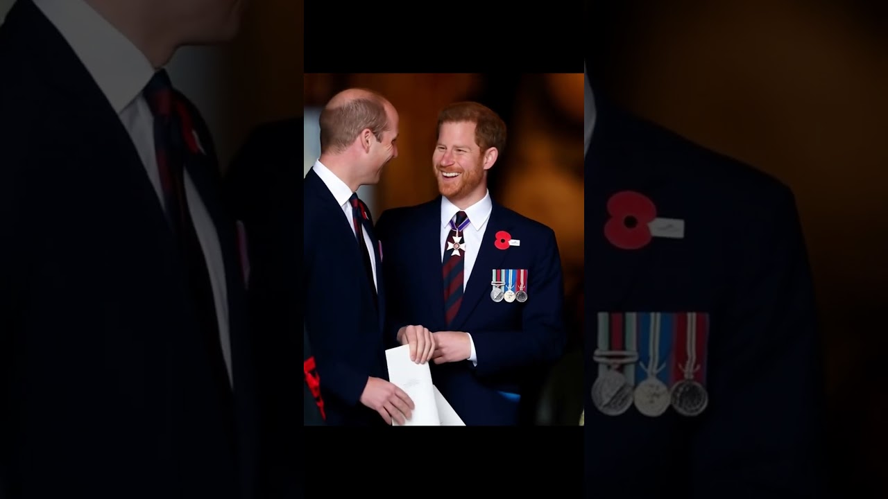 Royals brothers❤️❤️#princewilliam #princeharry #kingcharles #dianalegacy #britishroyalfamily
