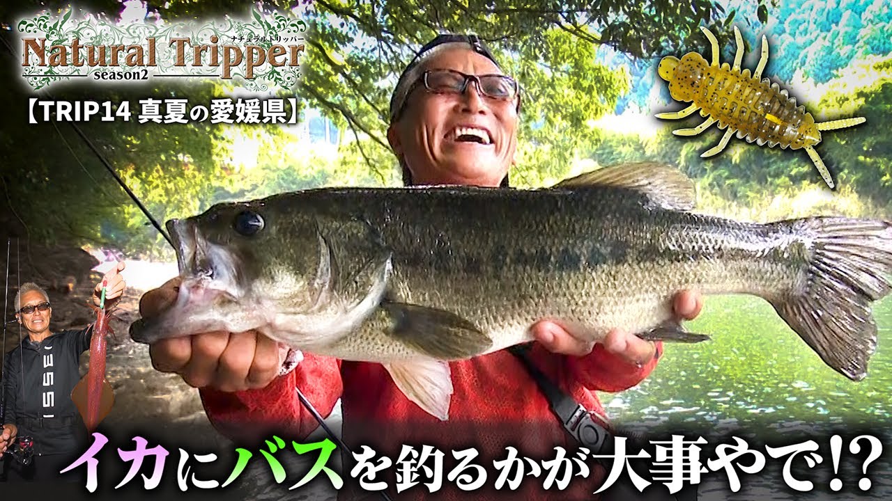 【Natural Tripper Season2】TRIP14 真夏の愛媛県 イカにバスを釣るかが大事やで！？