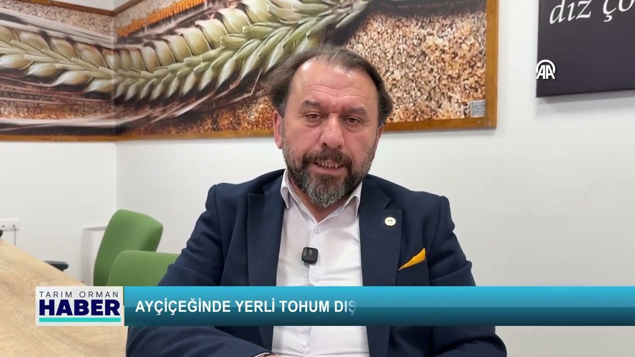 Devlet destekli yerli tohum dışa bağımlılığı sonlandırdı