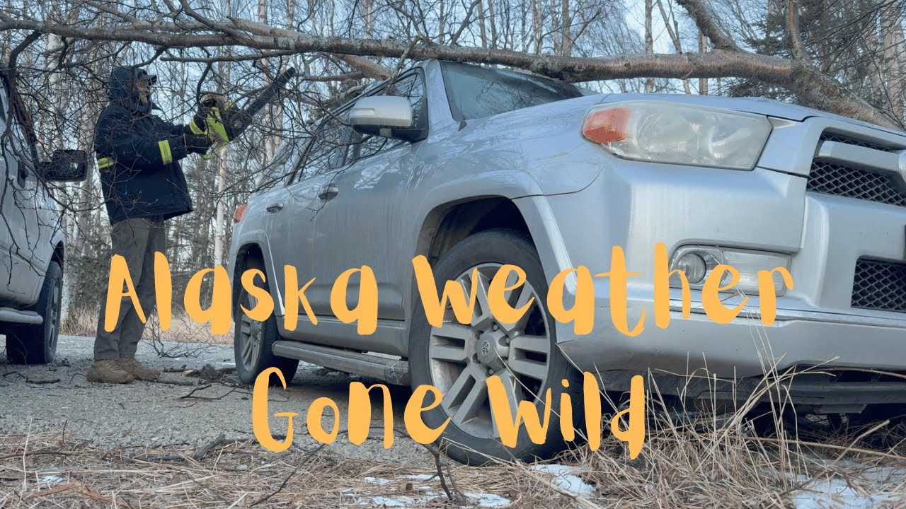 Одна неделя из жизни на Аляске: спокойствие, хаос и неожиданные штормы: Нордланд 49